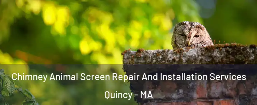  Chimney Animal Screen Repair And Installation Services Quincy - MA