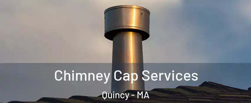  Chimney Cap Services Quincy - MA