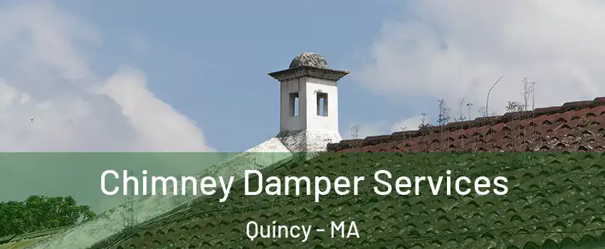  Chimney Damper Services Quincy - MA