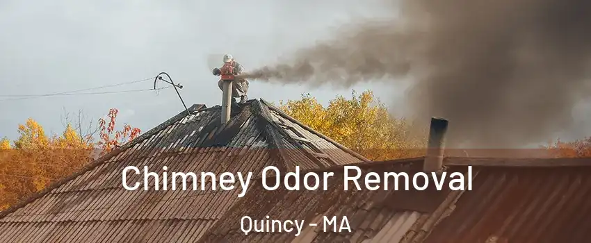  Chimney Odor Removal Quincy - MA