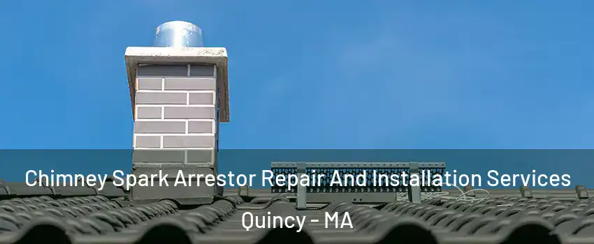  Chimney Spark Arrestor Repair And Installation Services Quincy - MA