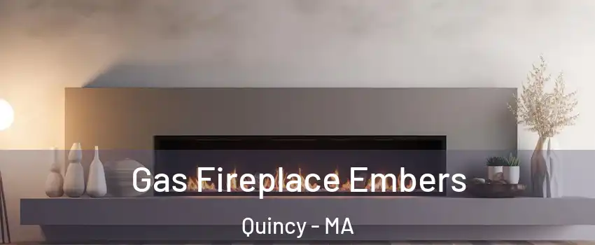  Gas Fireplace Embers Quincy - MA