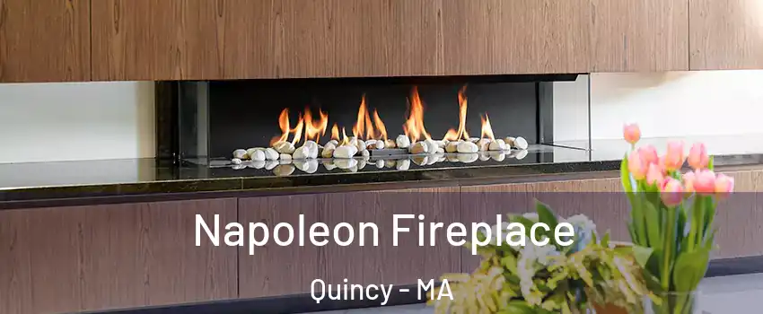  Napoleon Fireplace Quincy - MA