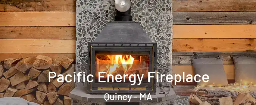  Pacific Energy Fireplace Quincy - MA